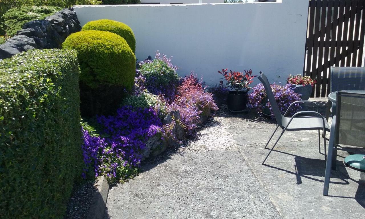 Gentian Villa B&B Ballyvaughan Exteriör bild